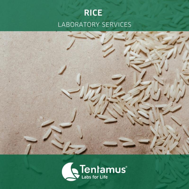 Rice Laboratory Services - Tentamus Vietnam